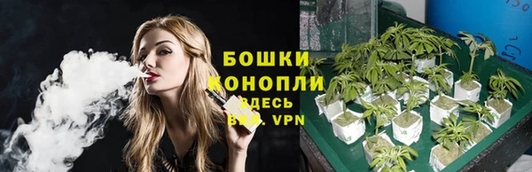 mdpv Бердск